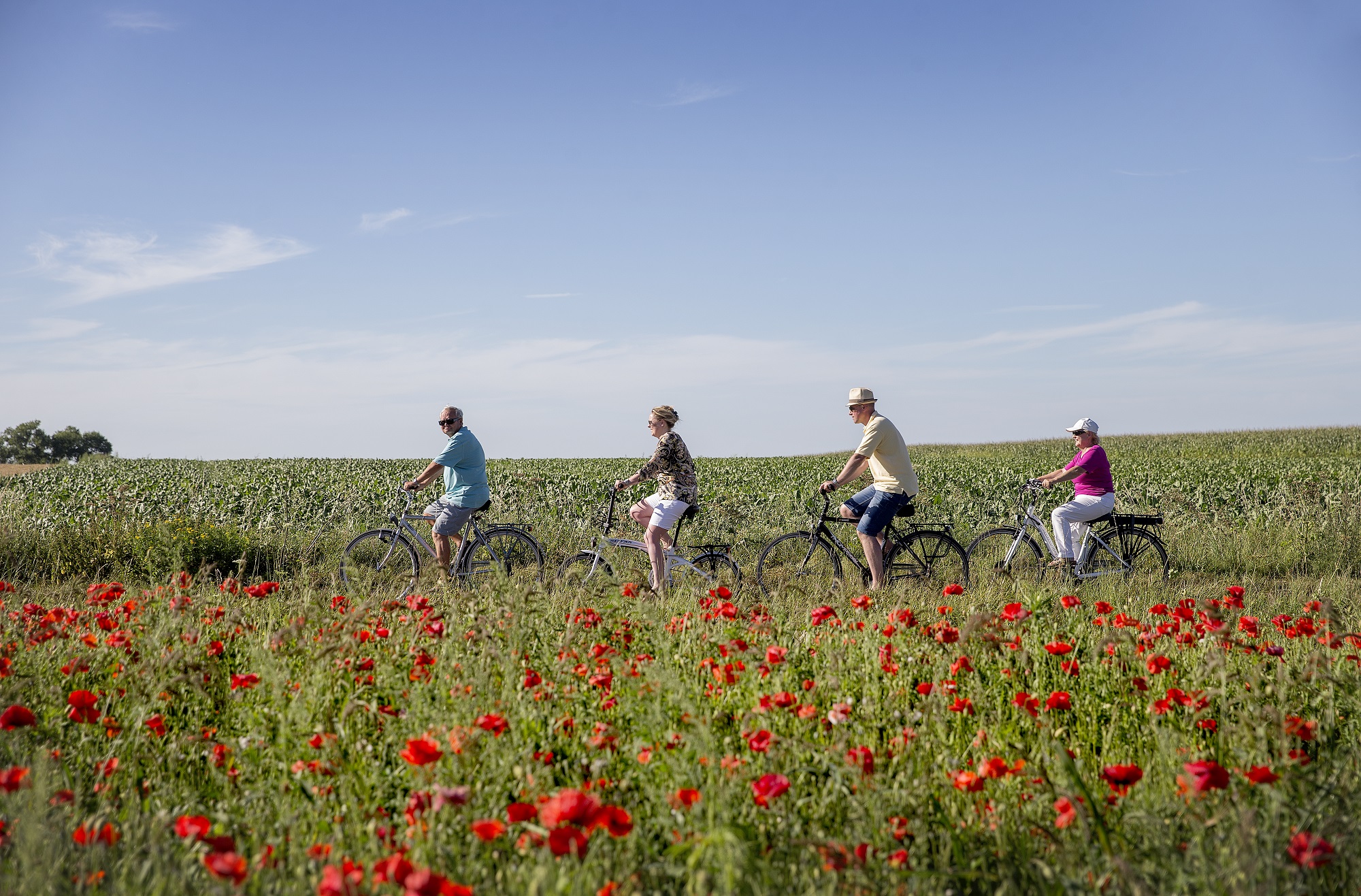 Helleketelbos Poppyveld