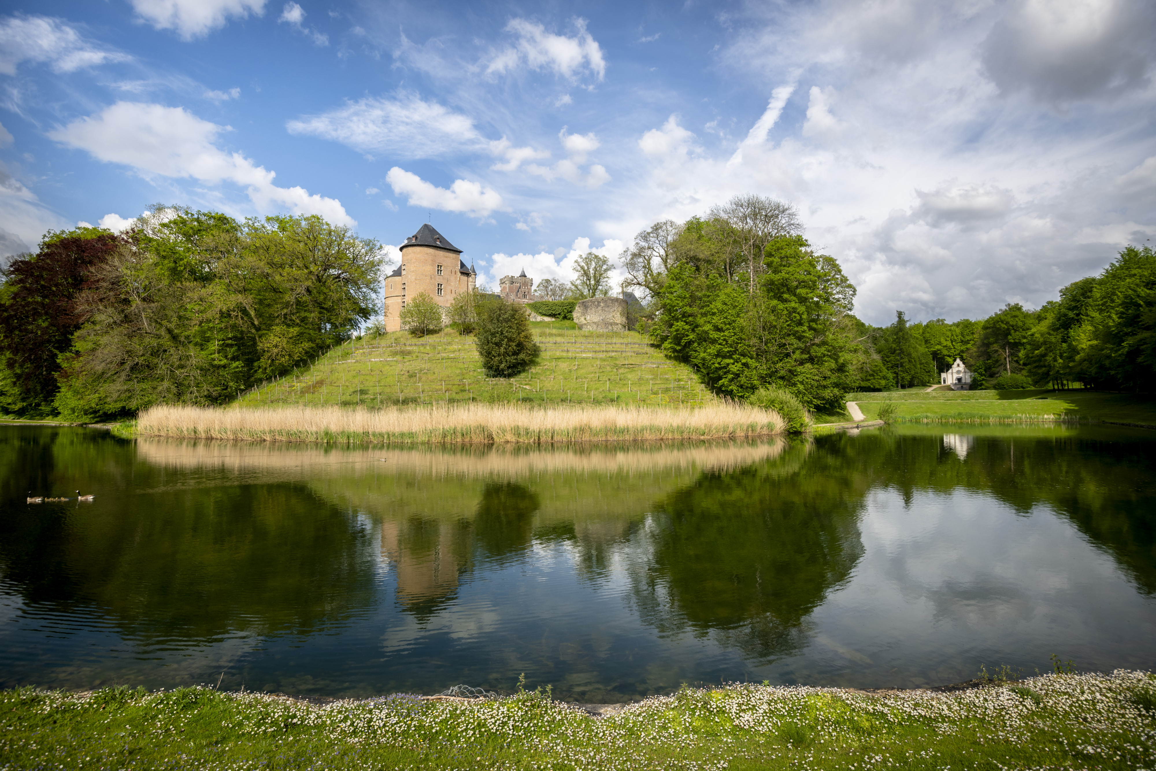 Kasteelpark Gaasbeek 