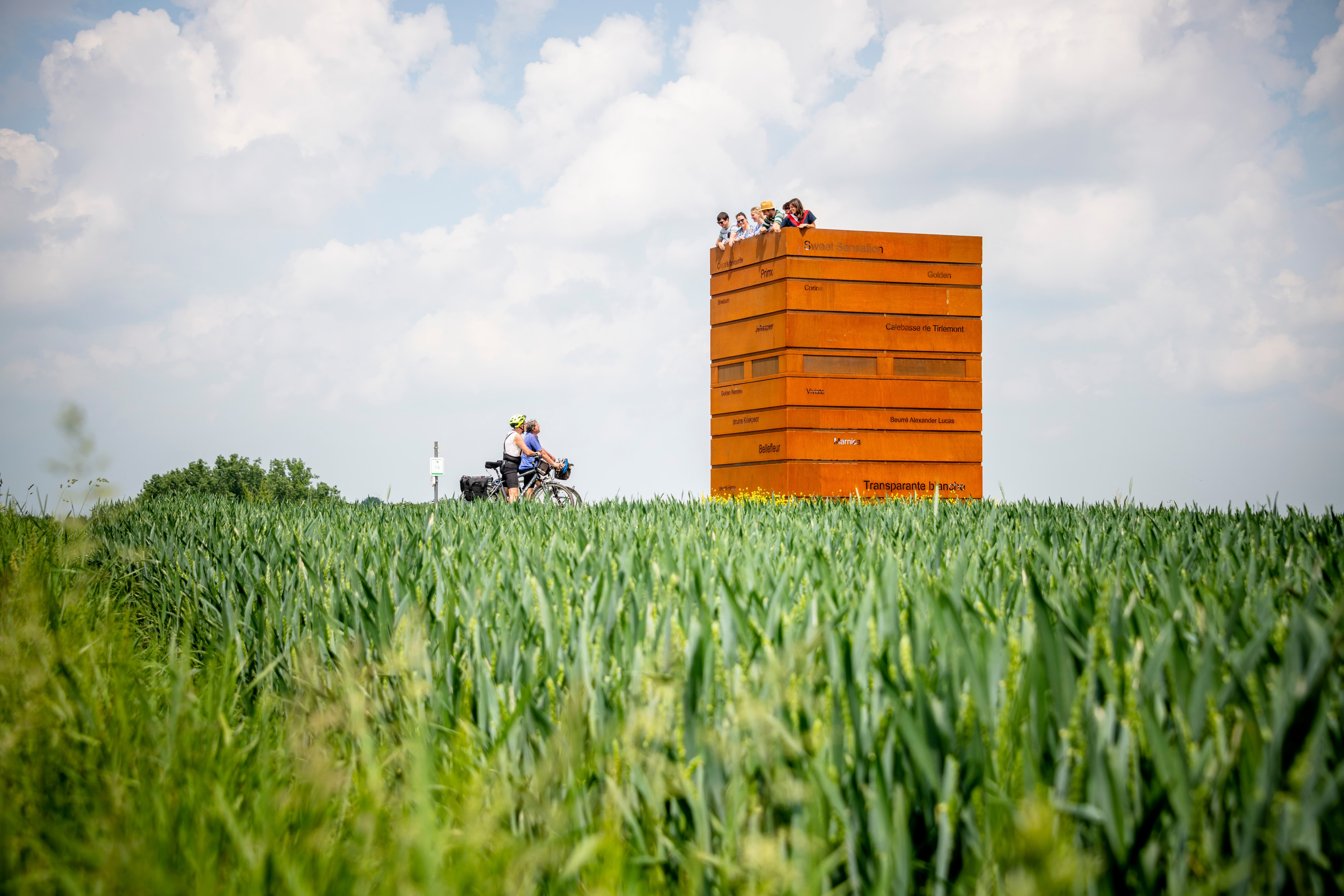 Fruitbeeldig Kunstwerk Pallox