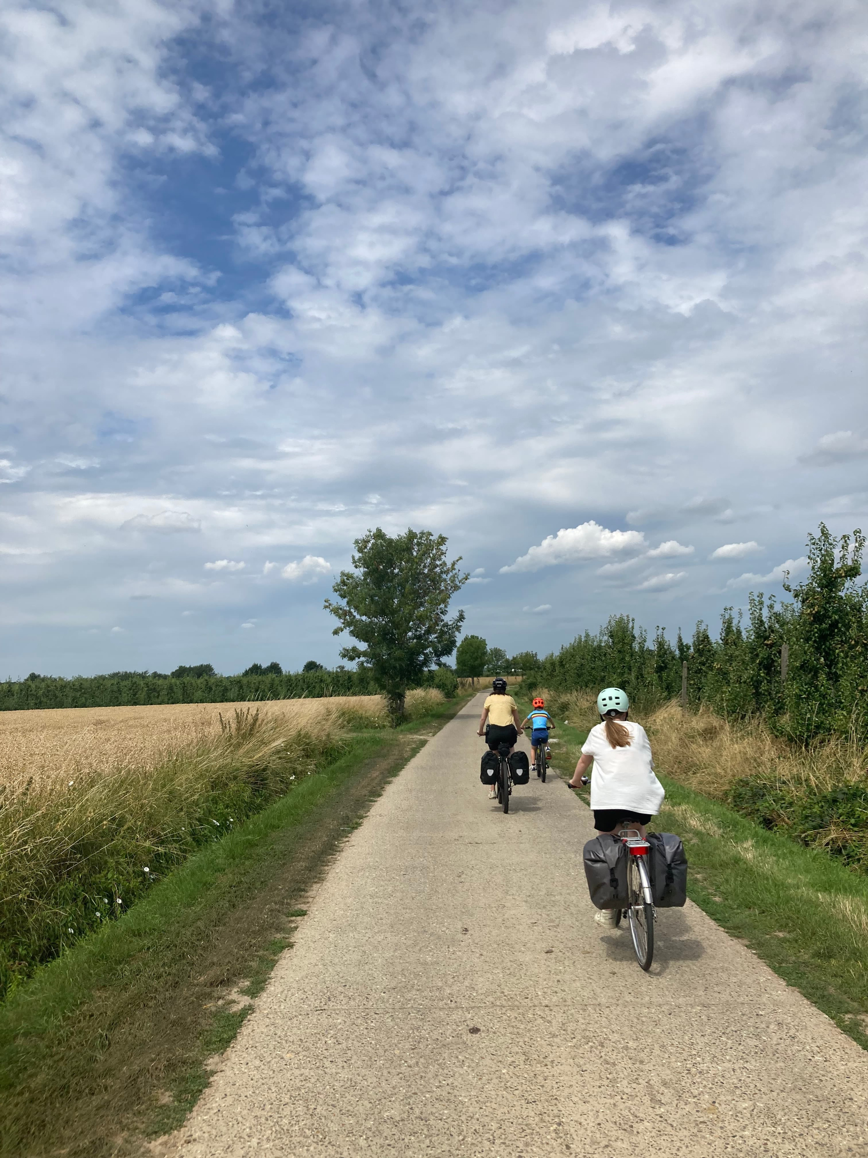 Ijzerenweg Halen - Diest